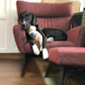 Meet your Posher, Kevin